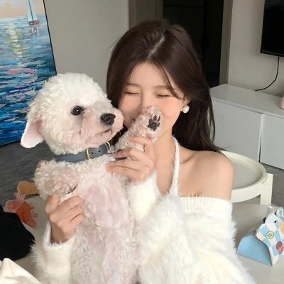 绝对舞力